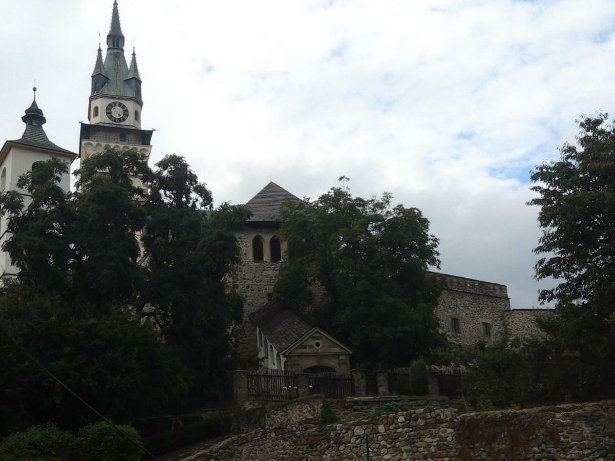 Apartman S Vyhladom Appartement Kremnica Buitenkant foto